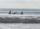 Surfen boe